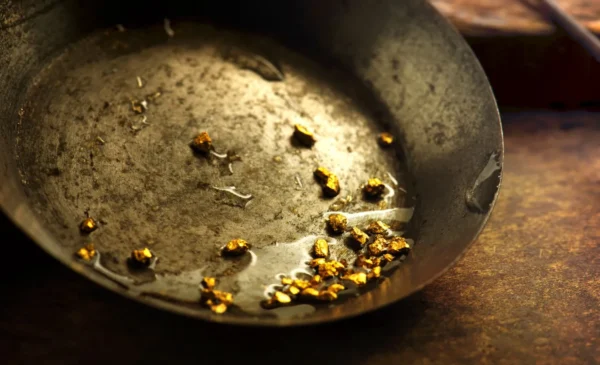 Gold Mining Pan for Sale